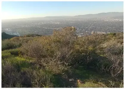 [01-09-2025] Evacuations Lifted as Sunset Fire Burns 43 Acres in Hollywood Hills